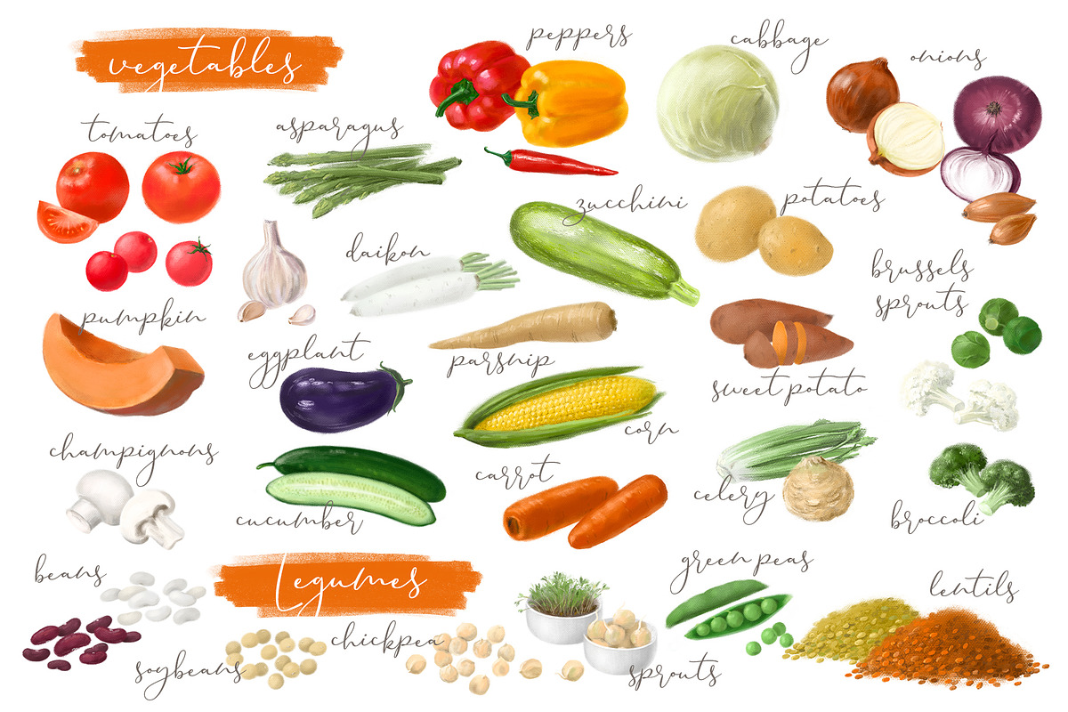 Diets Creator. Element Set, a Food Illustration by LeiaSW (Photo 2 of 8)