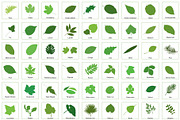 81 Leaves with their names, an Illustration by Nick Novell (Thumbnail 3 of 6)