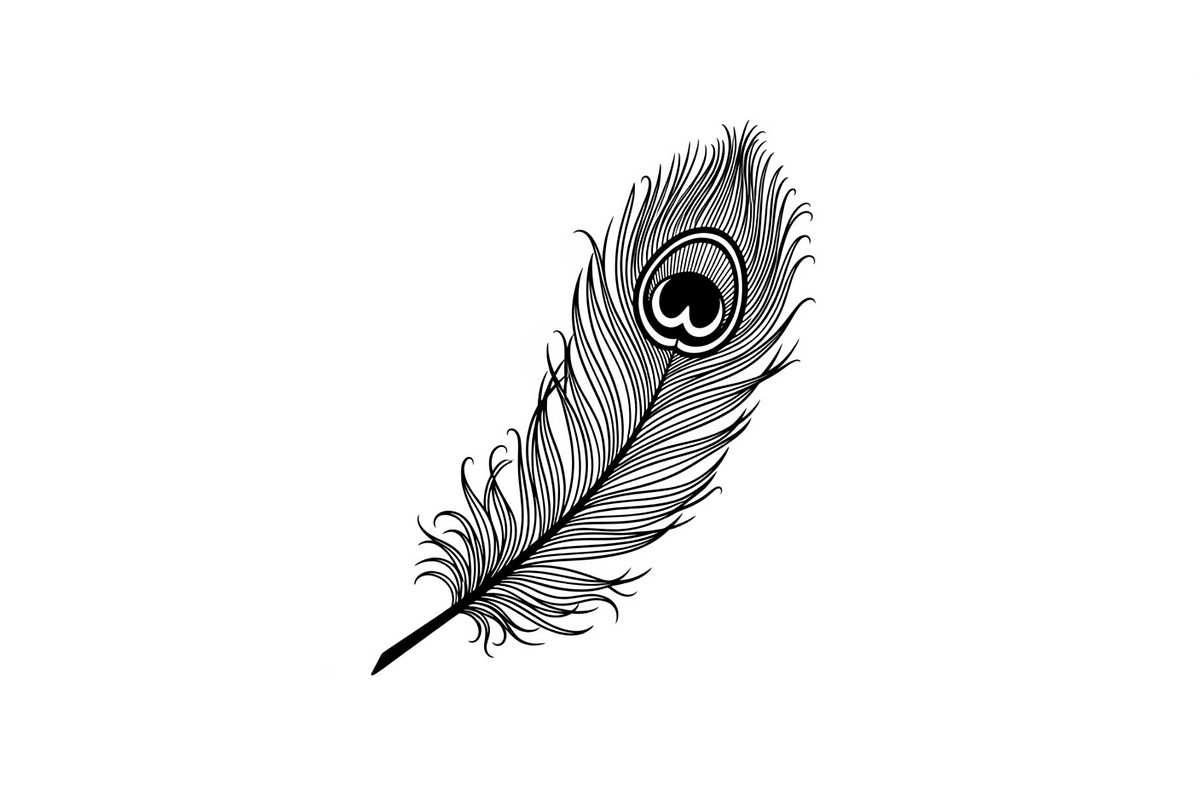 Peacock Feather Silhouette Bundle, an Illustration by jahid234 (Photo 30 of 31)