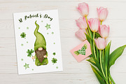 Gnomes st. Patrick's Day Collection., a Decorative Illustration by Kira Konoshenko (Thumbnail 6 of 14)