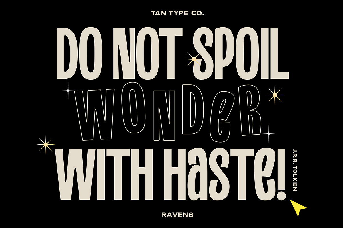 TAN - RAVENS, a Serif Font by TanType (Photo 4 of 11)