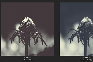 Mono Fine Art Lightroom Presets