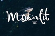 Spoonfull Script Font, a Script Font by Creativeqube Design (Thumbnail 5 of 14)
