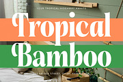 Sunday Mirage Modern Serif Font, a Script Font by timelesstype.co (Thumbnail 17 of 20)