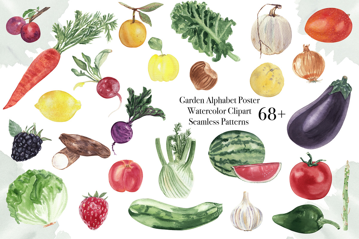Fruits & vegetables garden alphabet, a Decorative Illustration by Visual Animal (Photo 1 of 13)