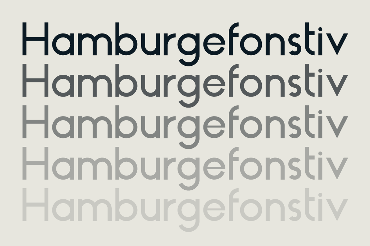 HAUS Sans Medium preview 2