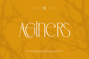 Aginers || Elegant Serif Font