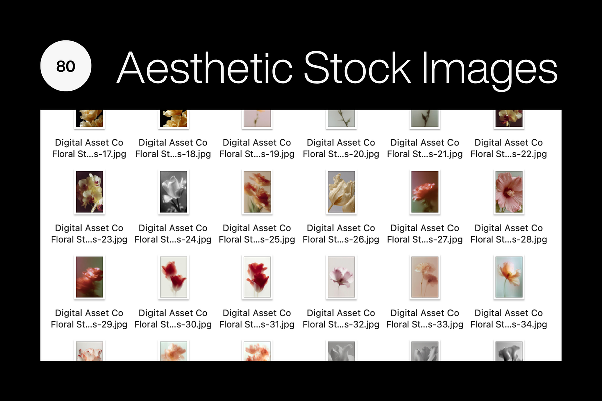 80 Floral Aesthetic Stock Images, a Background Photo by Digital Asset Co (Photo 5 of 9)