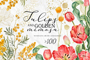 Watercolor spring tulips and mimosa., an Illustration by RushkinaAntonina (Thumbnail 1 of 7)