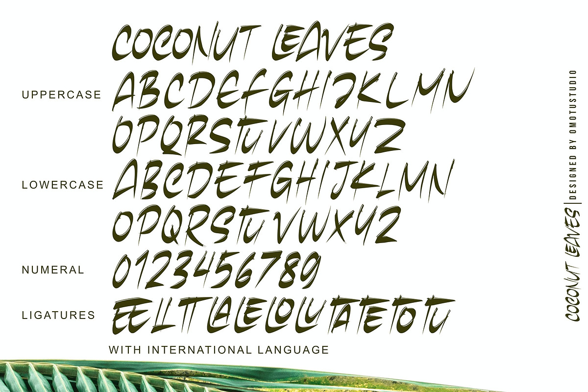 Coconut Leaves, a Handwritten Font by Omotu Studio (Photo 10 of 10)