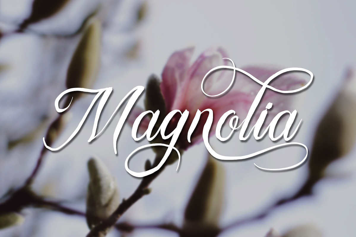 Bulliandry | Modern Calligraphy, a Script Font by Analogous (Photo 10 of 14)