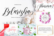 All Type Collection Font Bundle, a Script Font by Bosstype Studio (Thumbnail 19 of 45)