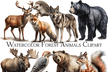 100 Forest Elements | Graphic Objects ~ Creative Market