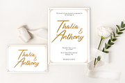 Sommerlian, a Script Font by Tastype (Thumbnail 7 of 9)