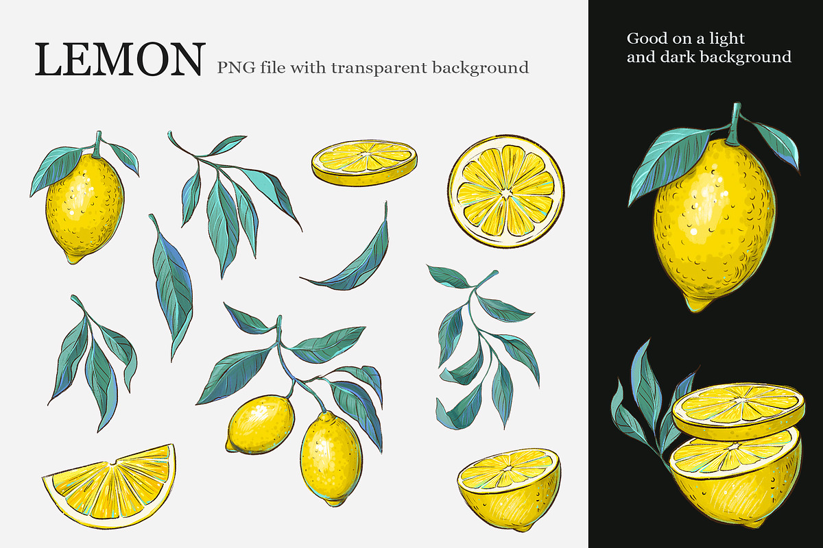 Lemon clipart, a Decorative Illustration by Aksol (Photo 2 of 4)