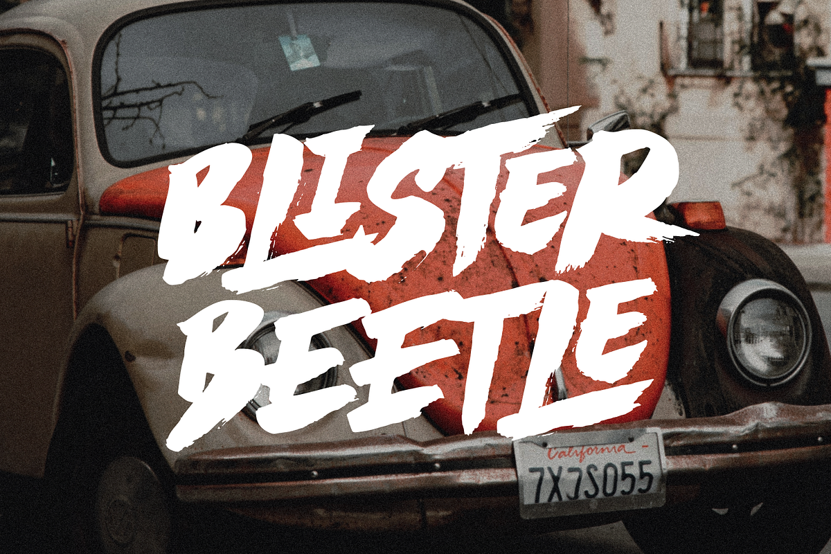 BLIZES Brush Font, a Handwritten Font by Negara Studio (Photo 2 of 9)