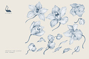 4-in-1 Floral Pattern Bundle, a Pattern Graphic by Karma (Thumbnail 22 of 43)