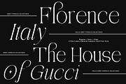Aviluero Rasnora | 27 Font Files, a Serif Font by IM Studio (Thumbnail 10 of 13)