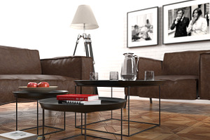 0607 Rolf Benz Basio Furniture Set