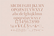 Dahlia - Modern Serif Font, a Serif Font by Tropical Type (Thumbnail 8 of 8)