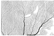 Growth - 50 Backgrounds, a Texture Graphic by GarryKillian (Thumbnail 21 of 51)