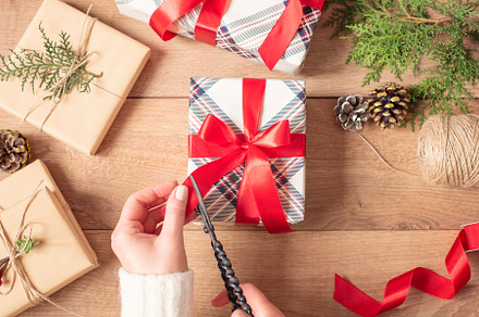 Christmas background containing happiness, home, and family