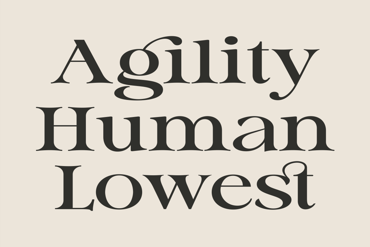 Gillian - A Modern Serif Font, a Serif Font by Marvadesign (Photo 4 of 5)