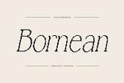Bornean Pixel, a Serif Font by Craft Supply Co. (Thumbnail 1 of 8)