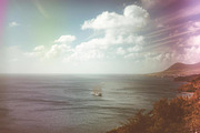 Expired Film Lightroom Presets, an Action Add-On by Daily Studio (Thumbnail 8 of 10)