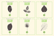 VECTOR LEAVES HAND DRAWN BUNDLE v20, a Decorative Illustration by pawellpi (Thumbnail 2 of 7)