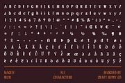 Magely Blur, a Serif Font by Craft Supply Co. (Thumbnail 8 of 8)