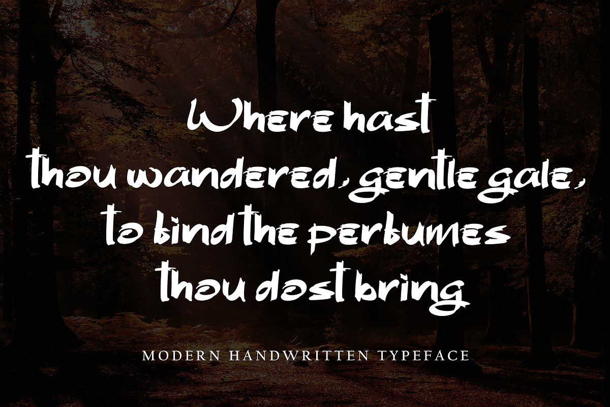 Bheni Euthentic, a Script Font by pineungtype (Photo 3 of 7)