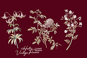 Hortus Vintage Flowers Cliparts, a Decorative Illustration by Lilithcollageart (Thumbnail 9 of 12)