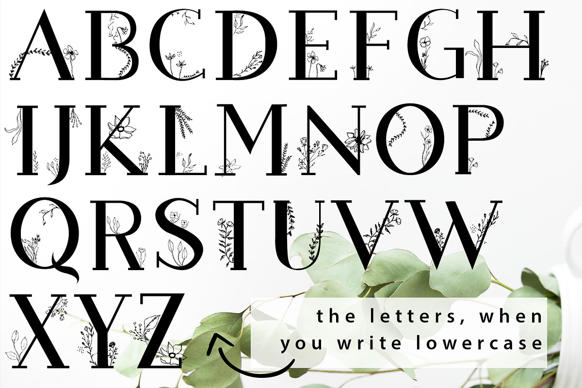 Blossom Font + EXTRAS, a Slab Serif Font by Chimerique (Photo 10 of 14)