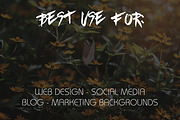 Butterfly Photo Pack, an Object Graphic by Salman Photocreative (Thumbnail 2 of 4)