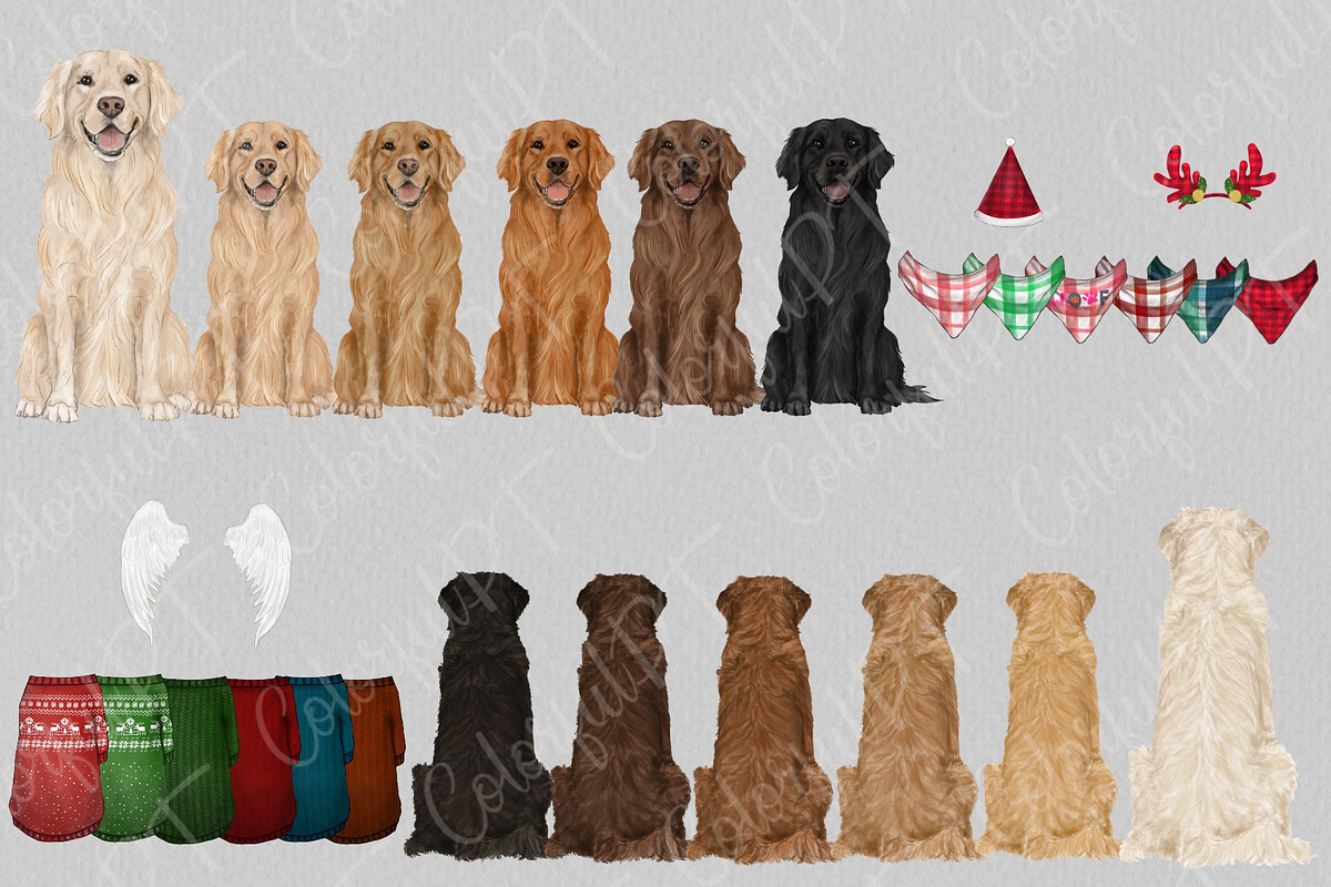 Watercolor Golden Retriever Clipart, an Animal Illustration by ColorfulPT (Photo 2 of 5)