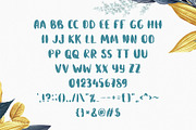 Aquatype Display Watercolor font, a Sans Serif Font by Luxfont (Thumbnail 4 of 9)