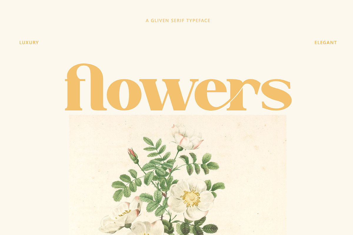 GLIVEN // New Retro Elegant, a Script Font by Flawless And Co (Photo 7 of 13)