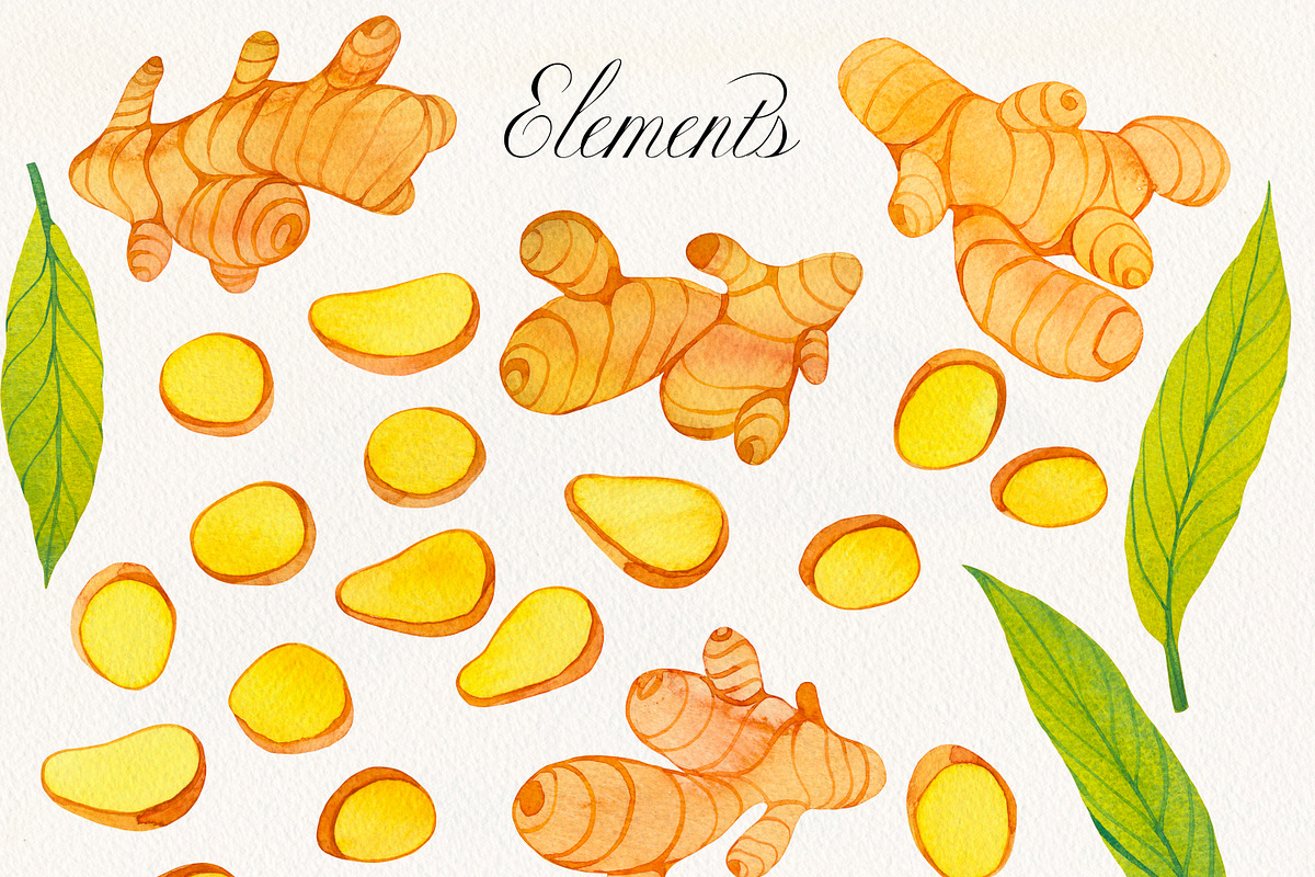 Fruit & Vegetable Watercolor Bundle, a Decorative Illustration by Olga Begak Art & Design (Photo 13 of 13)