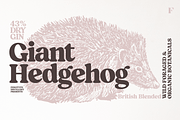 Blood Orange Vintage Serif, a Serif Font by Fenotype (Thumbnail 12 of 16)