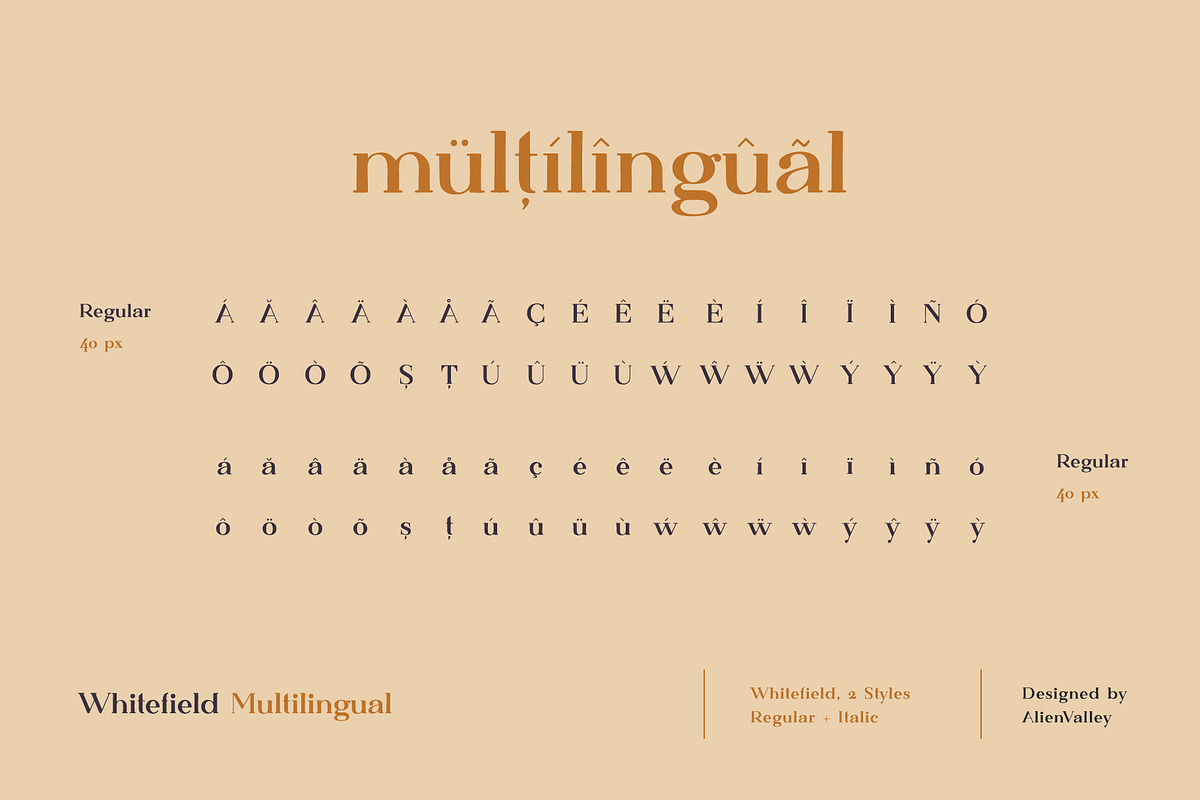 Whitefield - Handcrafted Serif, a Serif Font by AlienValley (Photo 6 of 8)