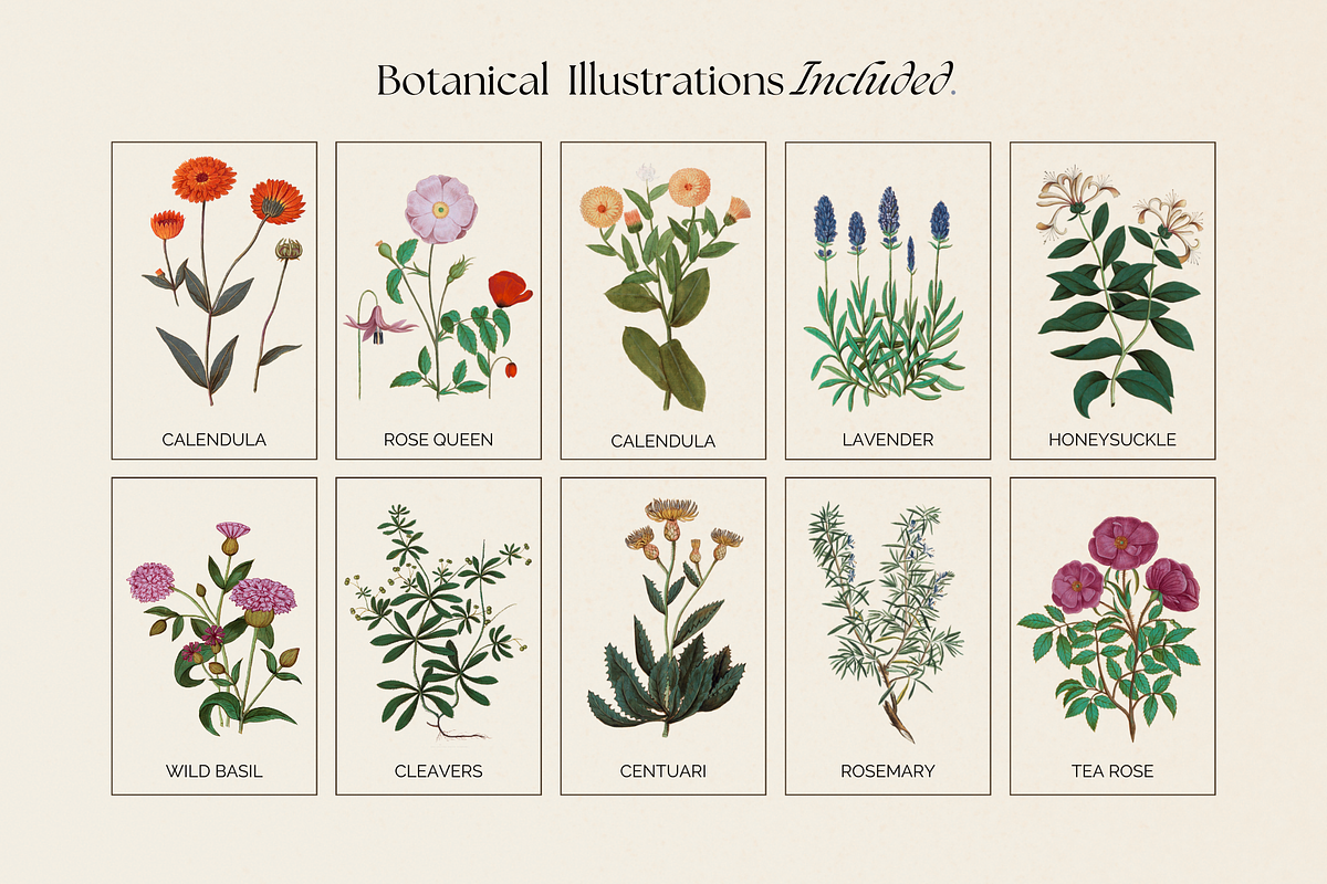 The Herbalist Template Bundle, a Social Media Template by The Flossy Finch (Photo 12 of 13)