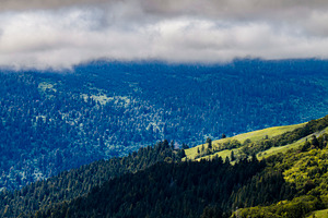 Fog Drifting Through the Bald Hills, a Nature Photo by Jillian Butolph