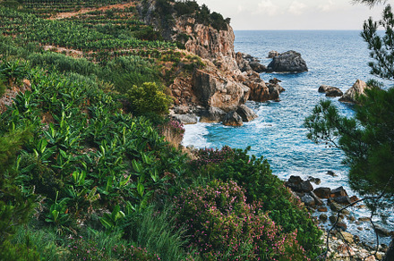 Mediterranean landscape with sea featuring coast, green, and landscape, a Nature Photo by Foxys