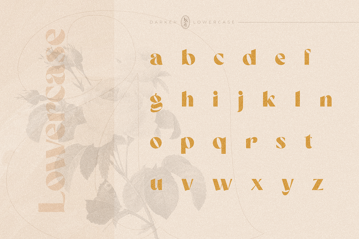 Darker Sans Serif + Extras, a Sans Serif Font by 1871 Project (Photo 11 of 12)