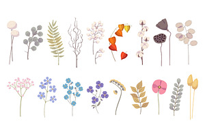 Decorative dried flowers. Cartoon