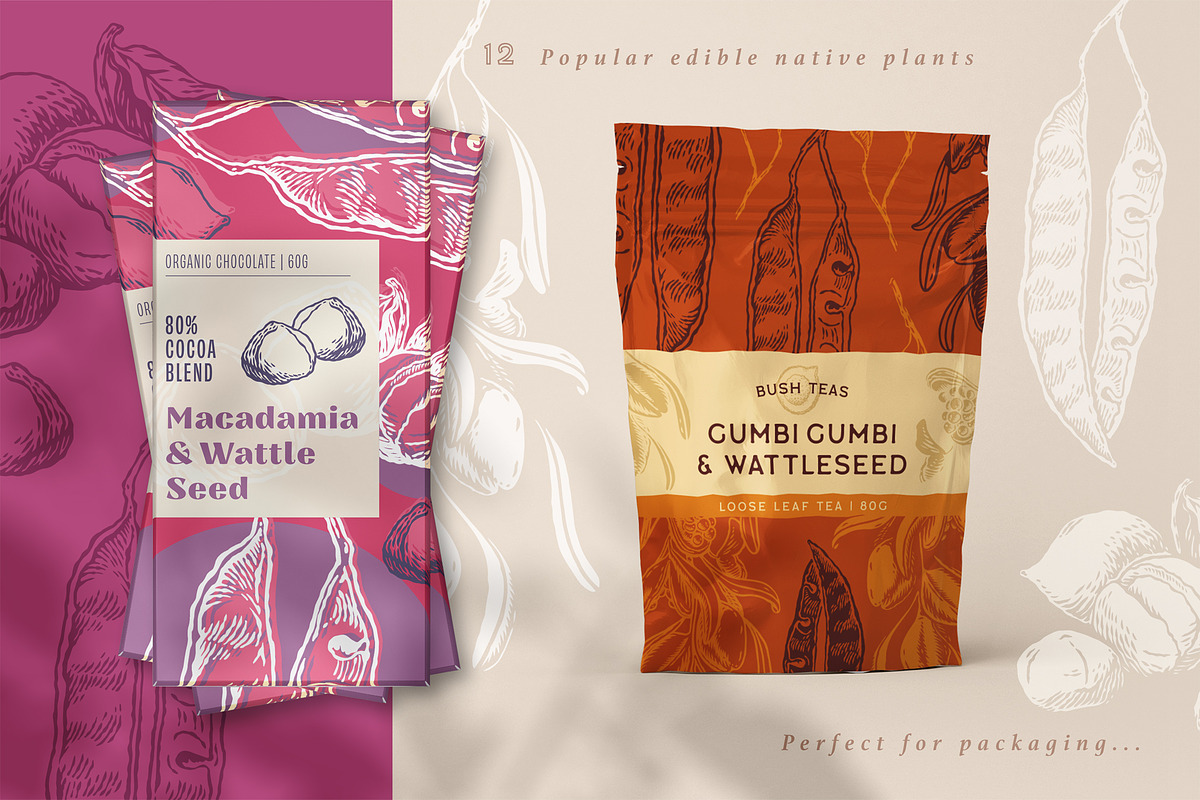 Australian Bush Foods Set, a Food Illustration by rouxsupplyco (Photo 3 of 8)