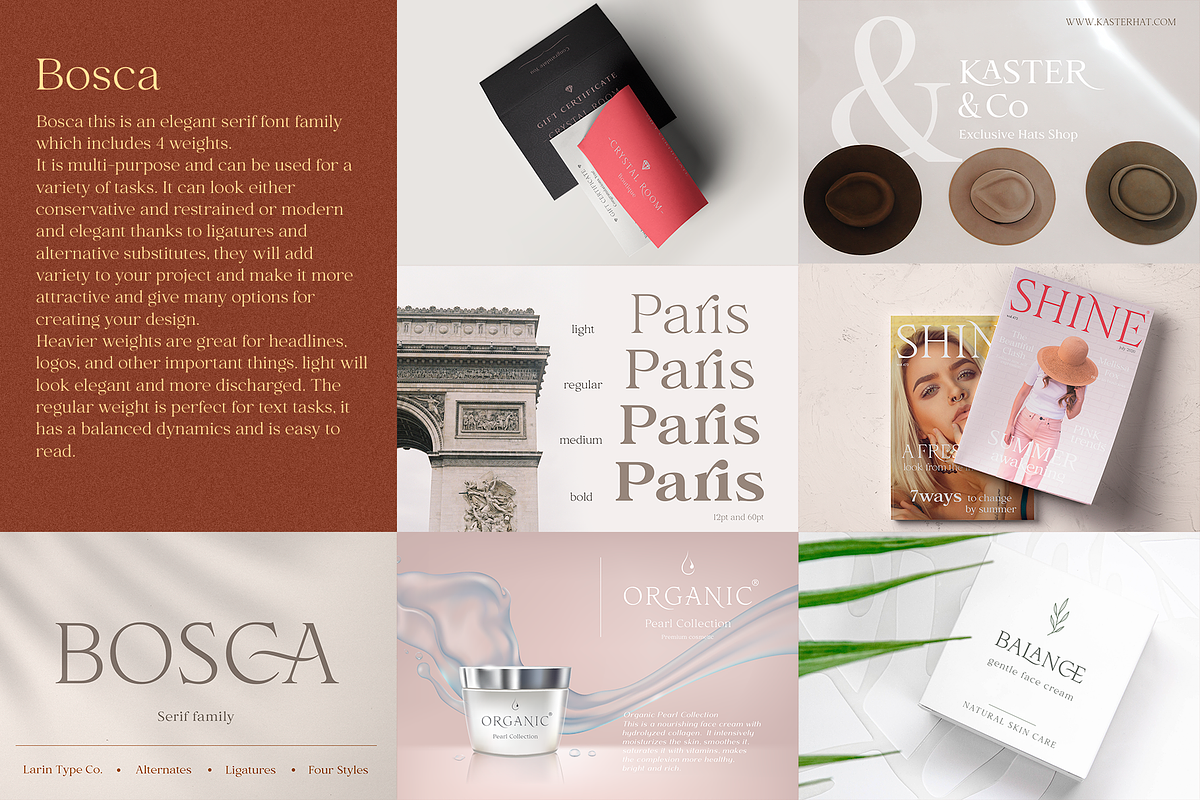 Elegant Serif Bundle, a Serif Font by Larin Type Co. (Photo 3 of 18)
