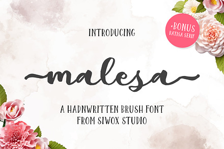 Malesa Brush font