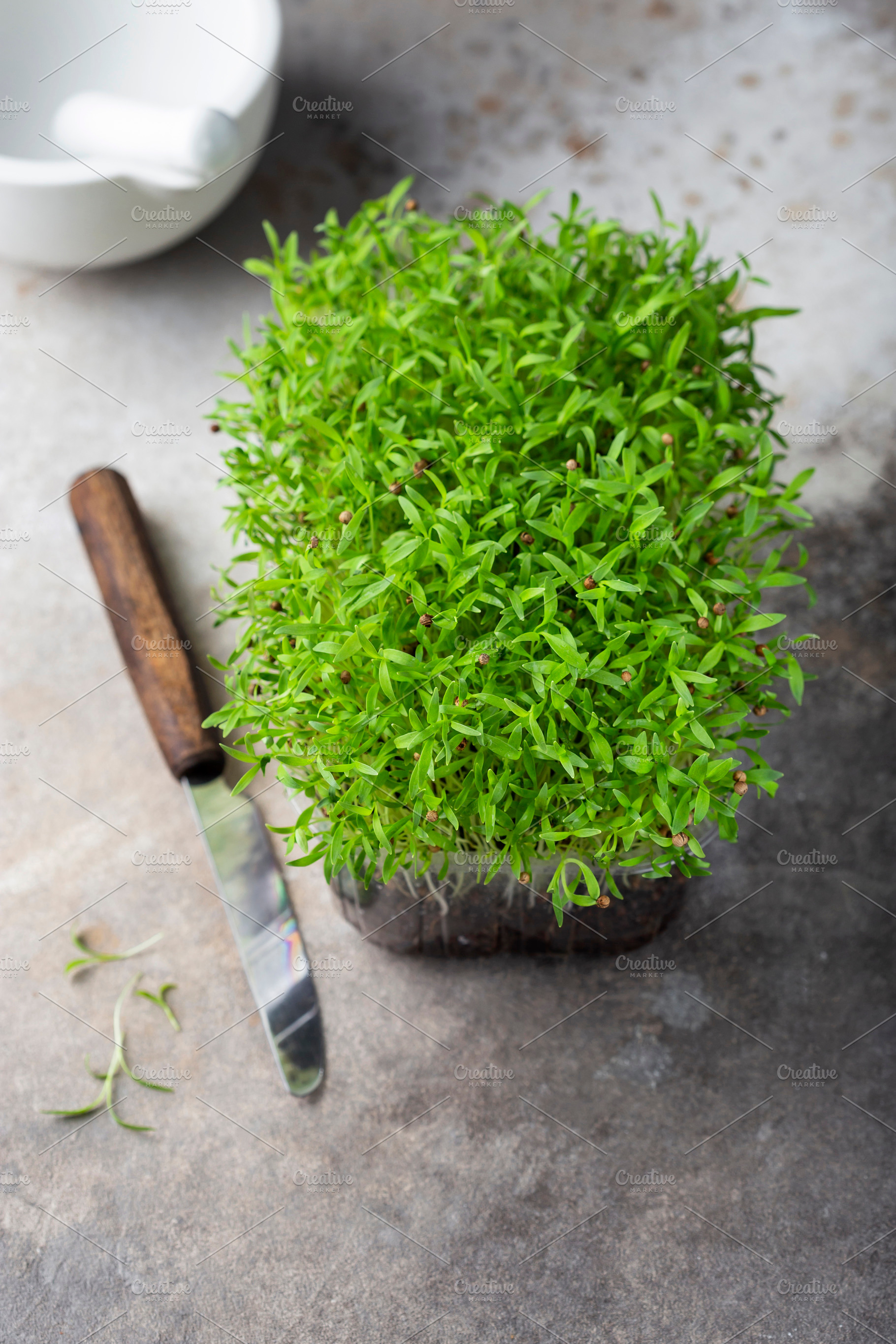 fresh different organic microgreens, a Food & Drink Photo by Marina_Pronina